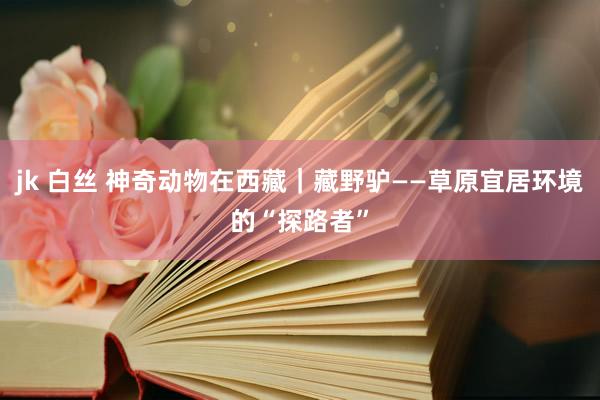 jk 白丝 神奇动物在西藏｜藏野驴——草原宜居环境的“探路者”