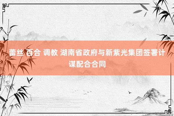 蕾丝 百合 调教 湖南省政府与新紫光集团签署计谋配合合同