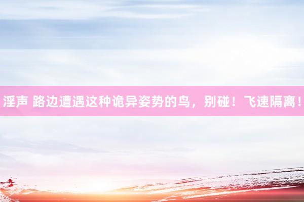 淫声 路边遭遇这种诡异姿势的鸟，别碰！飞速隔离！
